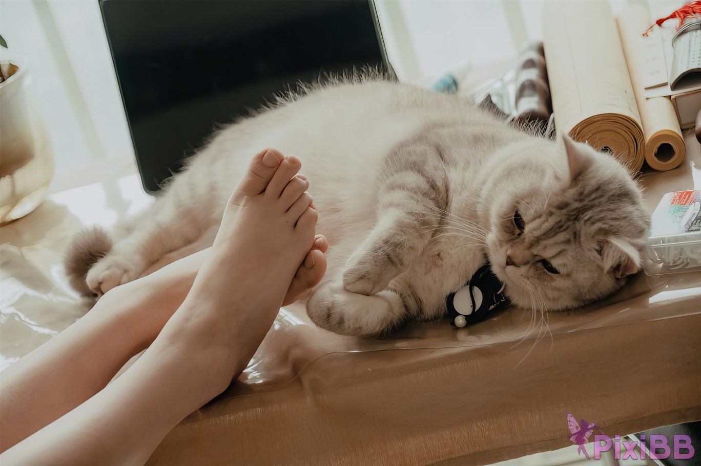 Coser Nnian Leisure time PixiBB.COM 044