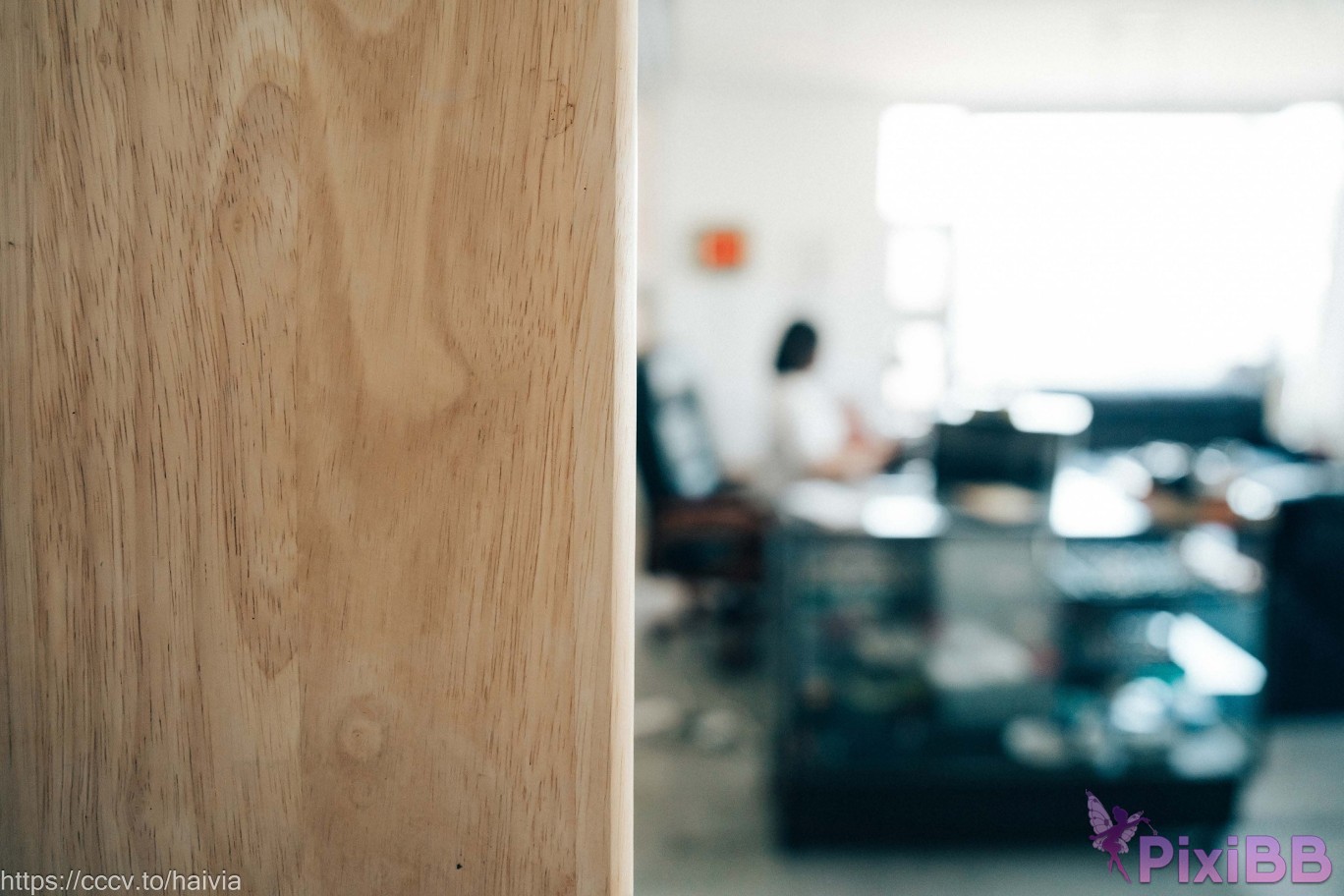 Loozy Zia Female Employee PixiBB.COM 034