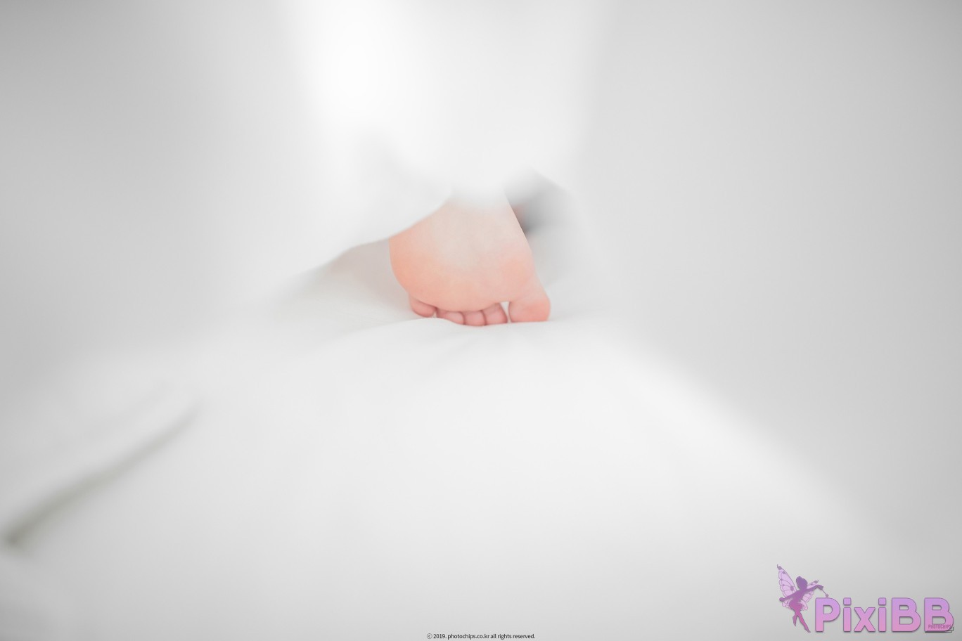 PhotoChips Vol.064 No.02 Dami PixiBB.COM 013