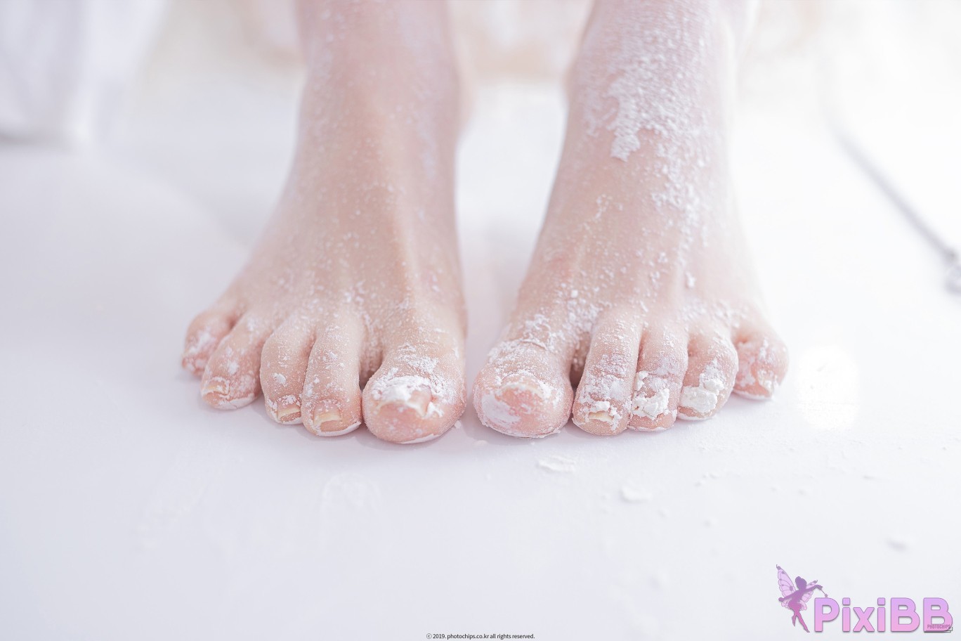 PhotoChips Vol.084 No.7 Dami PixiBB.COM 088