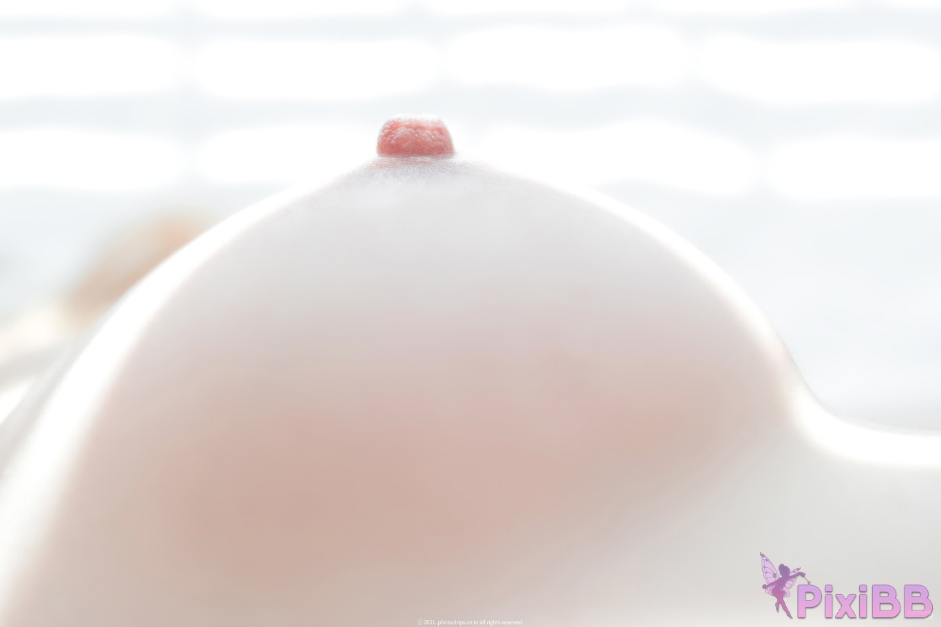 PhotoChips Vol.109 No.13 Dami Uncensored PixiBB.COM 012