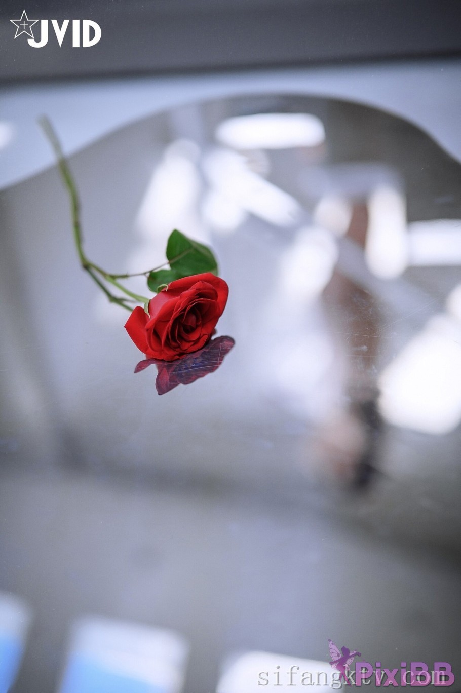 JVID Rou baoMini Rou bao PixiBB.COM 023