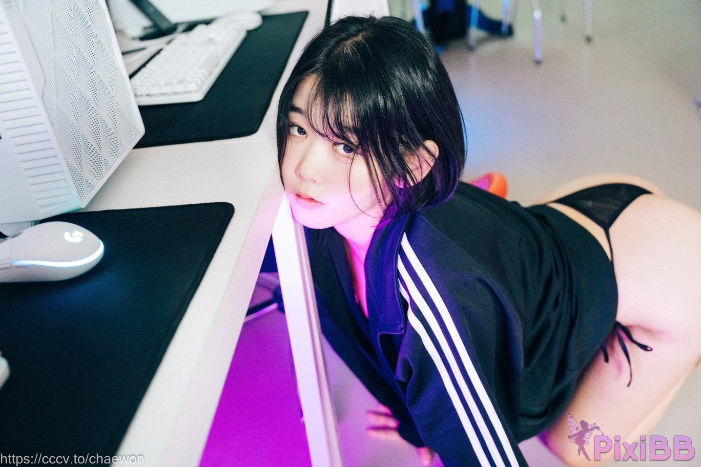 Loozy Zia PC Room With SP PixiBB.COM 080