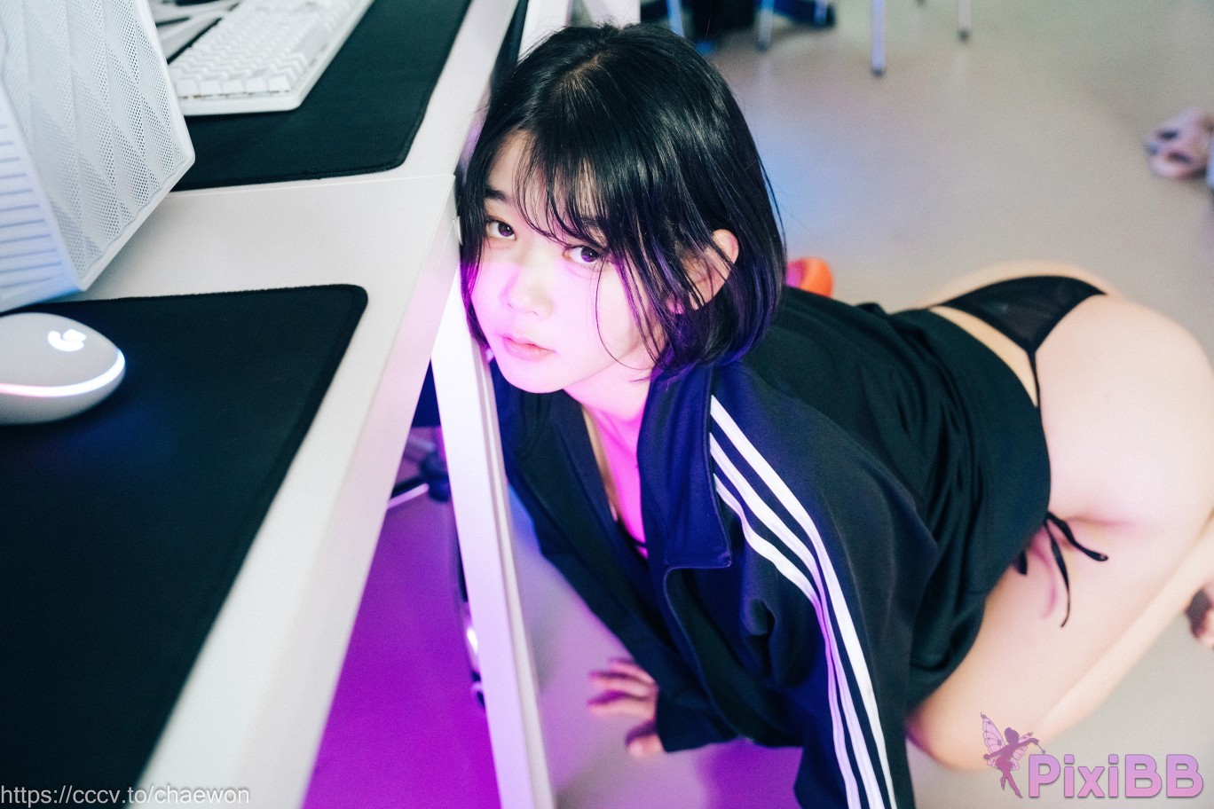 Loozy Zia PC Room With SP PixiBB.COM 081