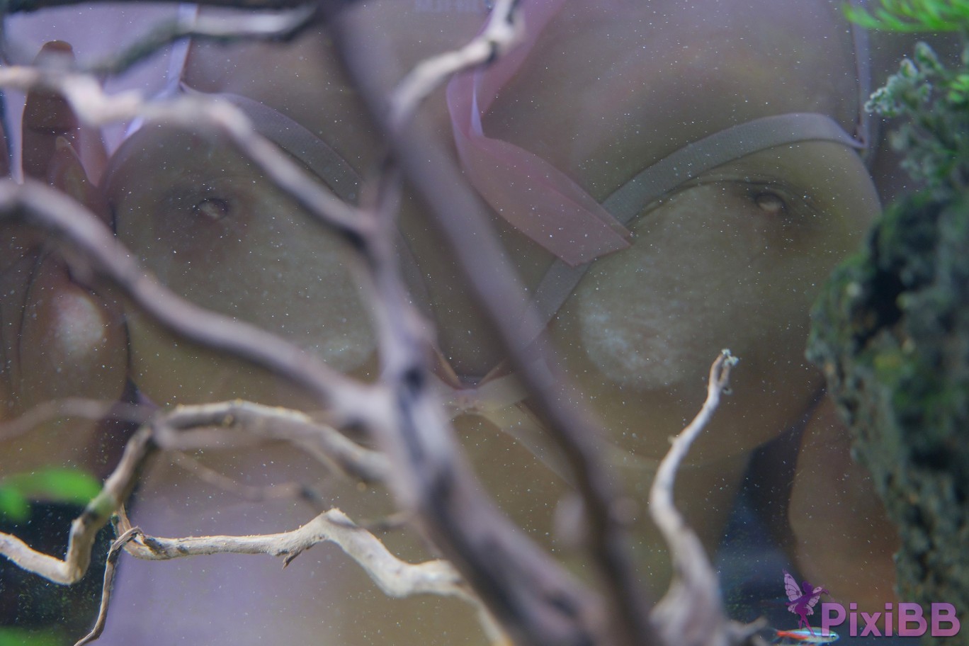 Yo U Zia Vol.10 Alone PixiBB.COM 035